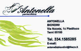 Sponsor