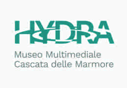 Sponsor